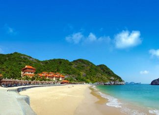 Chia sẻ kinh nghiệm du lịch Hải Phòng tự túc tiết kiệm nhất cho bạn Chia sẻ kinh nghiệm du lịch Hải Phòng tự túc tiết kiệm nhất cho bạn