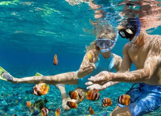 Những trải nghiệm và những món ăn ngon hấp dẫn khi đến du lịch Côn Đảo Những trải nghiệm và những món ăn ngon hấp dẫn khi đến du lịch Côn Đảo